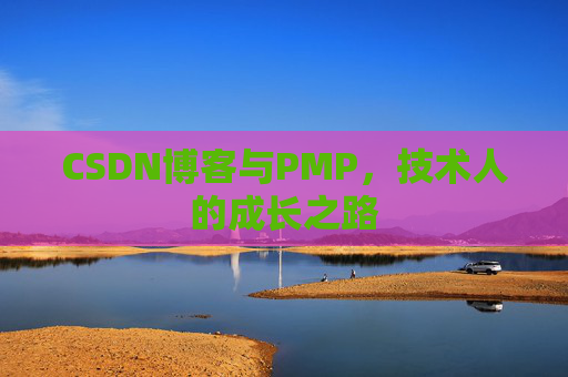 CSDN博客与PMP,技术人的成长之路